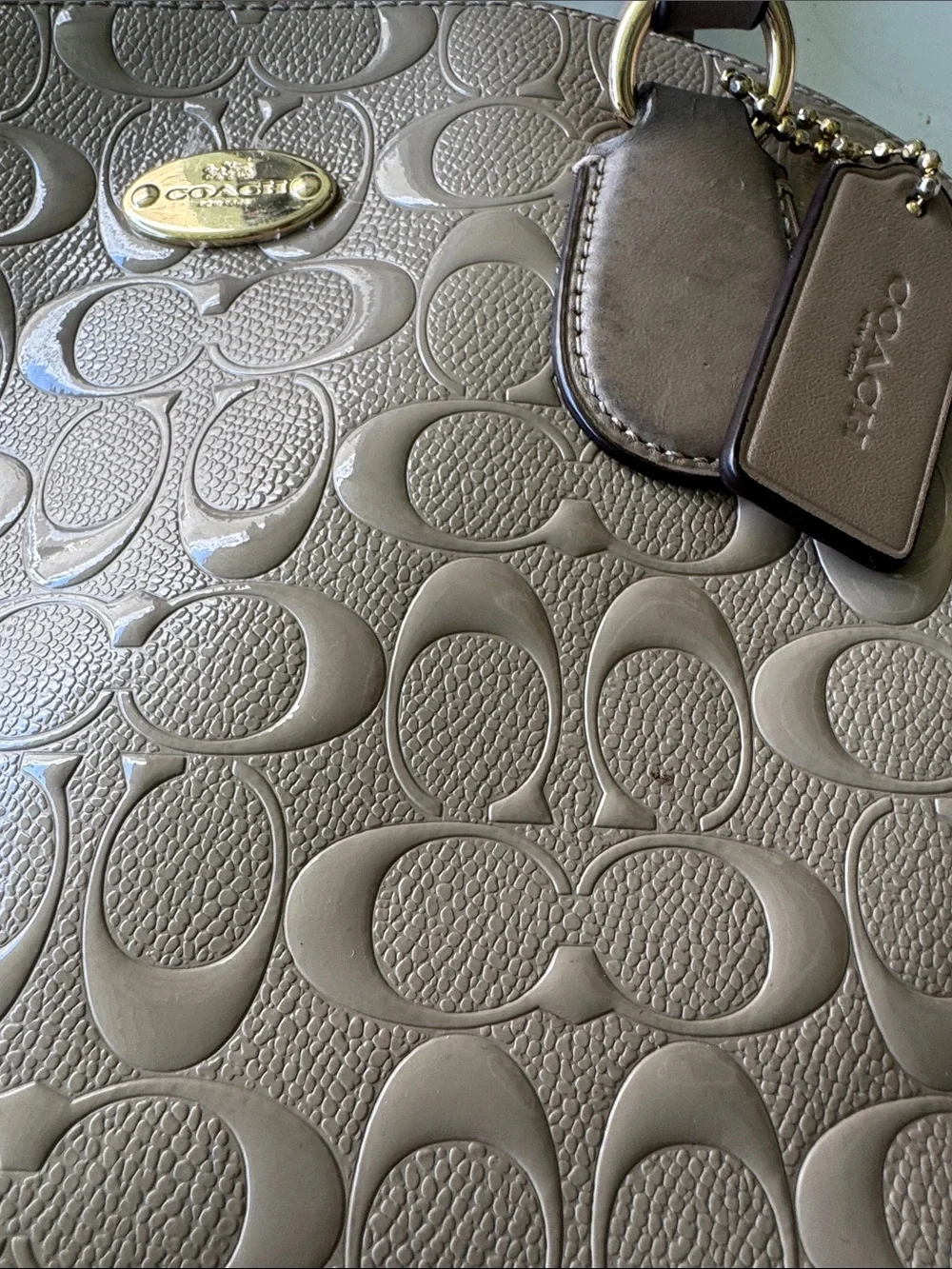 Coach Metallic Taupe Signature Dome Satchel